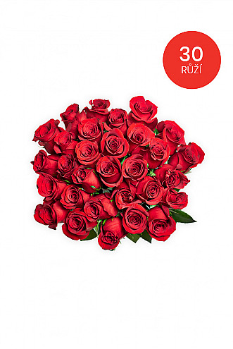 30 RŮŽÍ 70cm