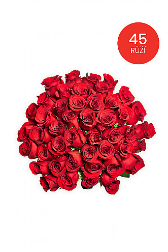 45 RŮŽÍ 70cm