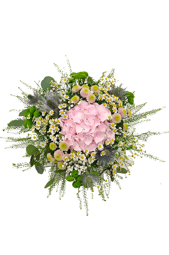 Růžová hortenzie s heřmánkem a santinkami