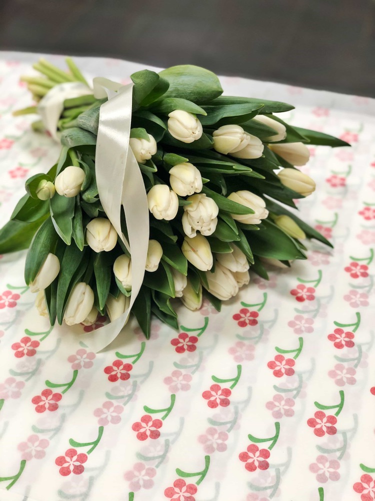 30 čerstvých BÍLÝCH tulipánů